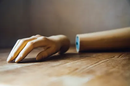 Casino Wild Fortune Mobile App